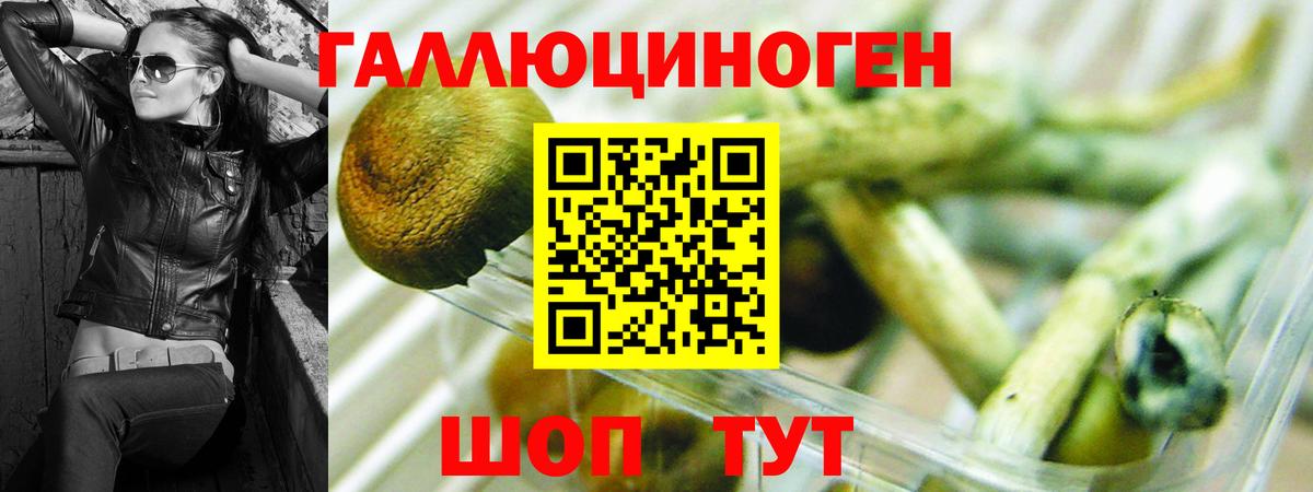 Галлюциногенные грибы Magic Shrooms Нарткала